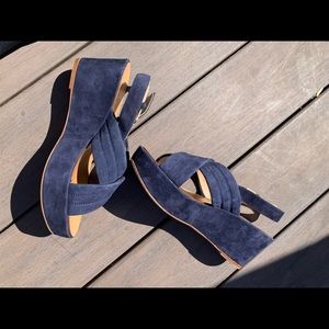 JCREW Blue Platform Sandals